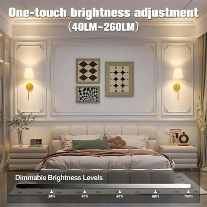Wireless Battery-Operated Wall Sconce – Gold & Black Modern Wall Lamp with Remote & 15 RGB Colors